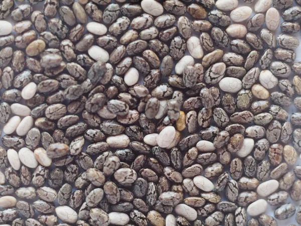 Jedlé Sezamová Semínka Užitečné Jako Pozadí — Stock fotografie