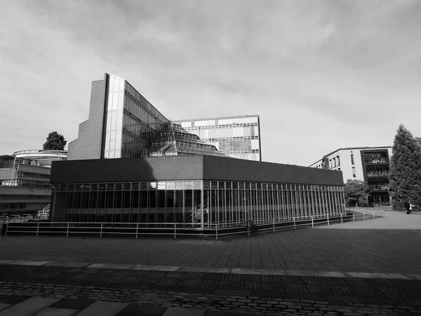 Cambridge Reino Unido Circa Octubre 2018 Biblioteca Histórica Seeley Universidad —  Fotos de Stock