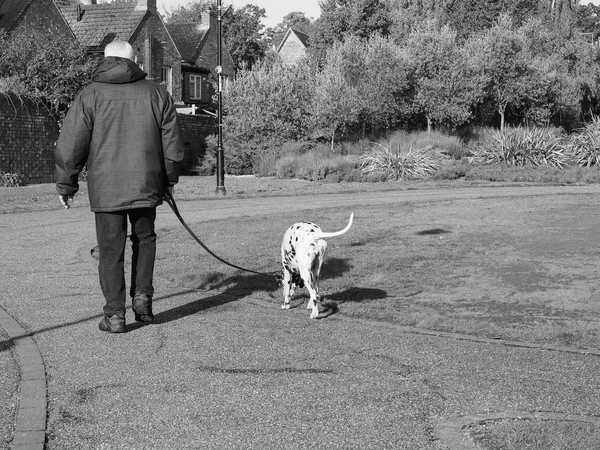 尤克艾利 2018年10月 男子在公共公园白衣中行走达尔马提亚狗 — 图库照片