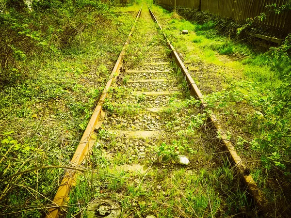 Vintage Stillgelegte Eisenbahngleise Mit Vegetation Bedeckt Vintage Retro — Stockfoto