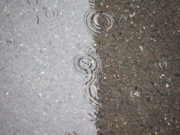 Water Circles Puddle Rain Water Useful Background — Stock Photo, Image