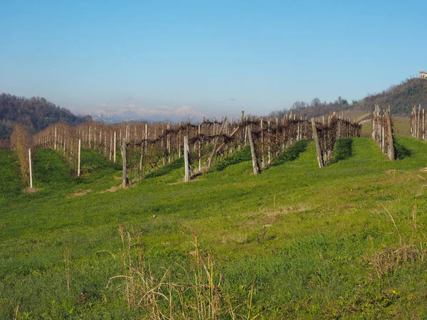 Roero ドルチェット ネッビオーロ バローロ バルベーラ ワイン用ぶどうで有名なピエモンテ州の丘の眺め — ストック写真