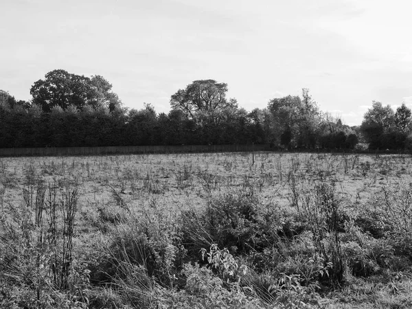 黒と白でピンク フロイド Ummagumma アルバムで有名になったケンブリッジ イギリス 2018年 月年頃 グラントチェスターメドーズ — ストック写真