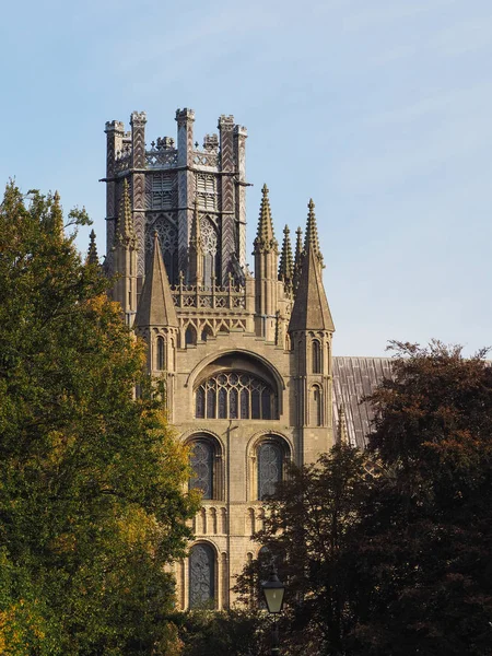 Ely Cathedral Колишня Церква Святої Етельдреди Святого Петра Церква Святої — стокове фото