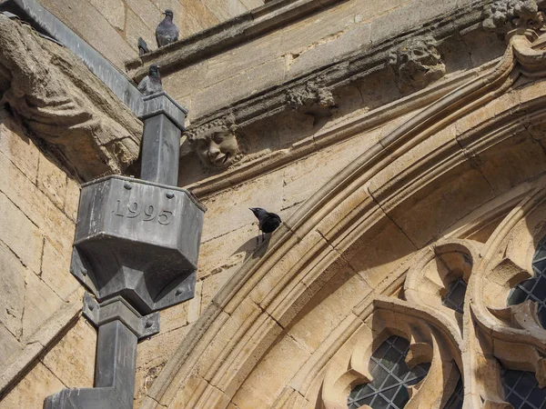 伊利大教堂 Ely Cathedral 旧称圣埃斯特尔德里达教堂和圣彼得教堂以及圣三一教堂 位于英国伊利 — 图库照片