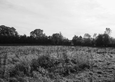 Cambridge, İngiltere - Ekim 2018 yaklaşık: Grantchester Pink Floyd Ummagumma albüm siyah beyaz meşhur ettiği Meadows