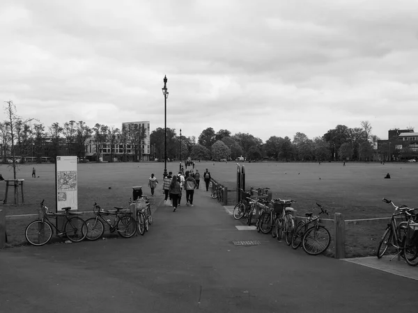 Cambridge Ngiltere Ekim 2018 Yaklaşık Parker Parça Kamu Parki Siyah — Stok fotoğraf