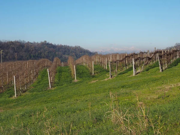 Vista Las Colinas Roero Piamonte Famoso Por Sus Viñedos Para — Foto de Stock