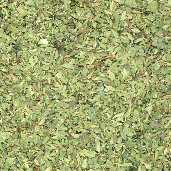 Oregano Origanum Vulgare Bitkisi Namı Diğer Yabani Marjoram Veya Tatlı — Stok fotoğraf