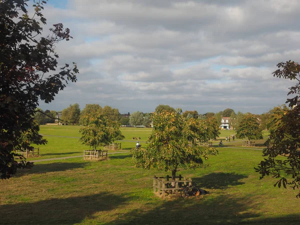 Midsummer Common Public Park Cambridge Reino Unido — Fotografia de Stock