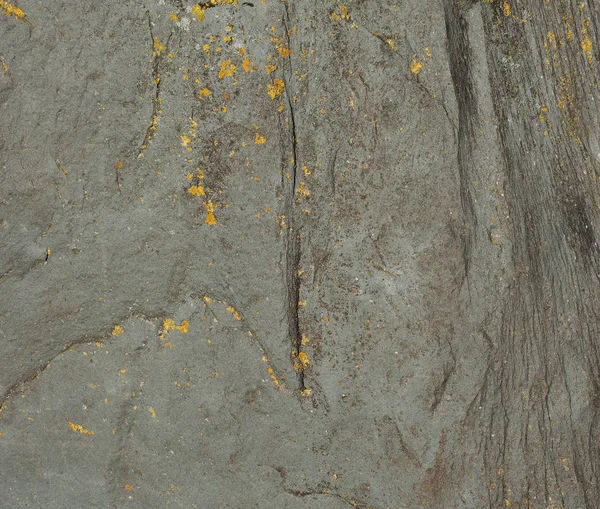 Серая Каменная Стена Качестве Фона — стоковое фото