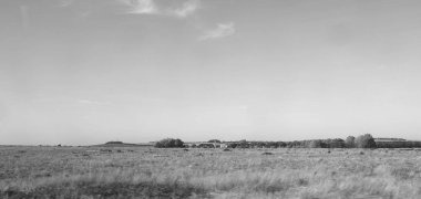 Cambridge, İngiltere'de yakınındaki kırsal siyah beyaz görünümü