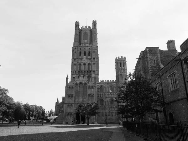 Ely Cathedral Formerly Church Etheldreda Peter Church Holy Undivided Trinity — Stock Photo, Image