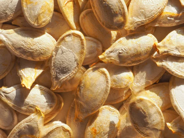 Abóbora Aka Cucurbita Pepo Vegetais Sementes Fundo — Fotografia de Stock