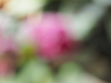 Soyut Yeşil ve mor bulanıklık arka plan olarak yararlı