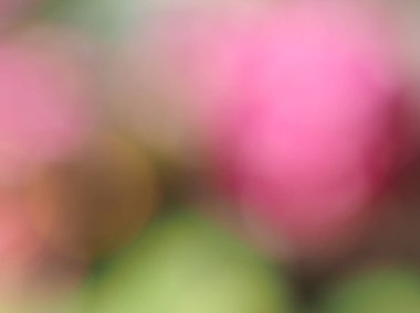 Soyut Yeşil ve mor bulanıklık arka plan olarak yararlı