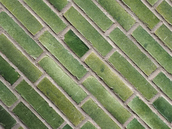 Zelená Cihlová Zeď Užitečná Jako Pozadí Diagonální Dlažba — Stock fotografie