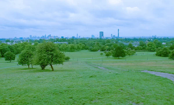 London Skyline Partir Primrose Hill Park — Photo