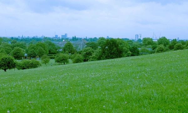 London Skyline Seen Primrose Hill Park — Stock Photo, Image