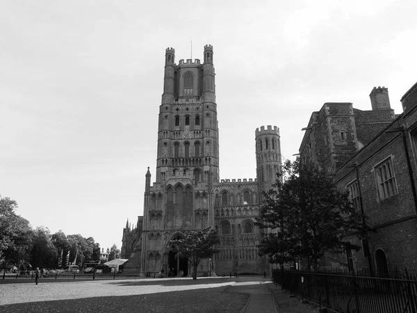 Ely Cathedral Formerly Church Etheldreda Peter Church Holy Undivided Trinity — Stock Photo, Image