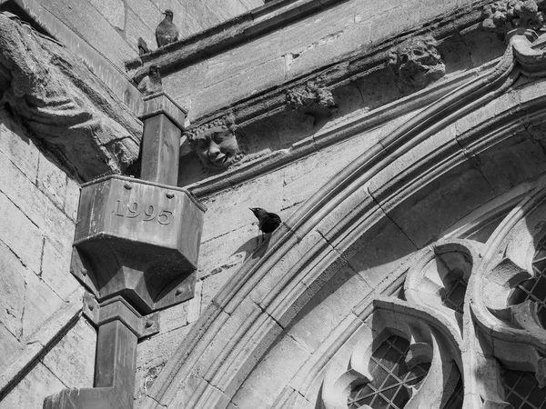 Ely Cathedral Formerly Church Etheldreda Peter Church Holy Undivided Trinity — Stock Photo, Image