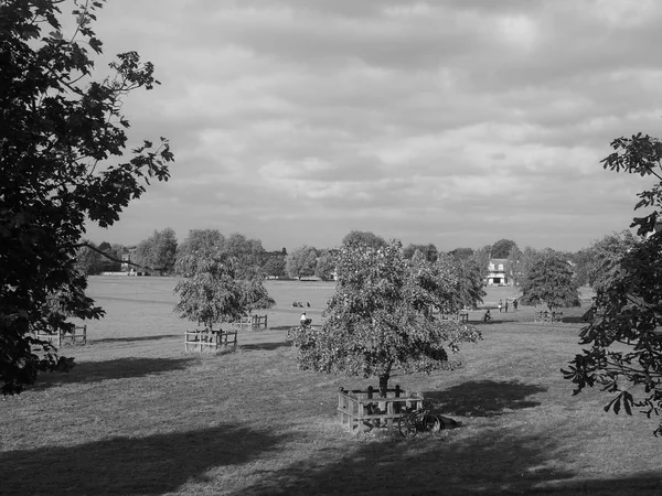 Midsummer Parco Pubblico Comune Cambridge Regno Unito Bianco Nero — Foto Stock