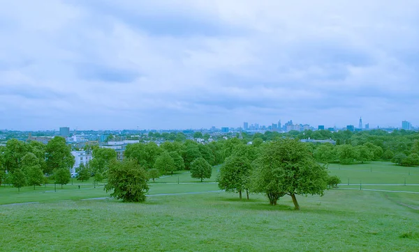 London Skyline Sett Fra Primrose Hill Park – stockfoto
