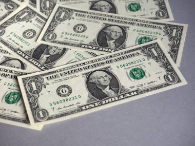 Bir Dolar para (USD), ABD para birimi