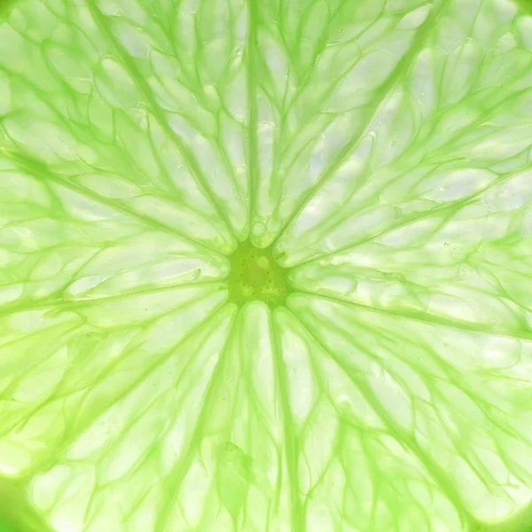 slice of green lime (Citrus x latifolia) aka Persian lime or Shiraz Limoo or Tahiti lime or Bearss lime fruit vegetarian food background