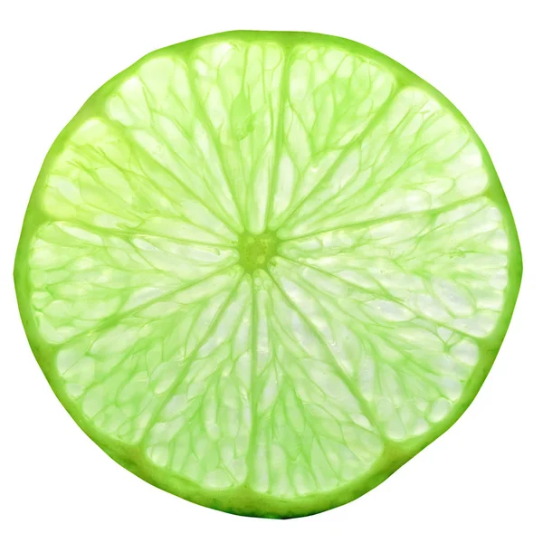 Scheibe Grüner Limette Citrus Latifolia Aka Persische Limette Oder Shiraz — Stockfoto