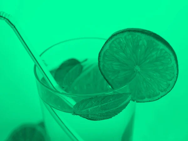 Listy Zelené Monochromatický Alkoholický Koktejl Nápojového Skla Vápno Plátek Ovoce — Stock fotografie