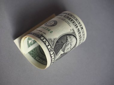 Bir Dolar para (USD), ABD para birimi