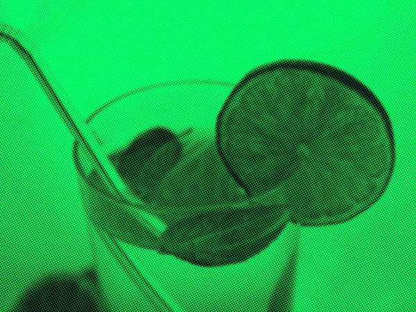 Style Pop Art Demi Ton Vert Monochrome Verre Cocktail Alcoolisé — Photo