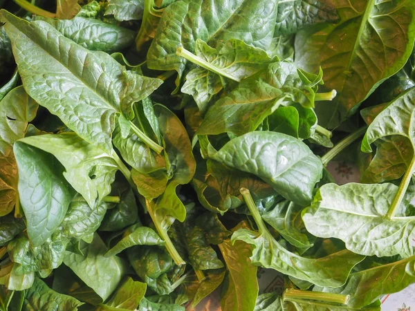 Bayam Spinacia Oleracea Sayuran Makanan Vegetarian Dan Vegan — Stok Foto
