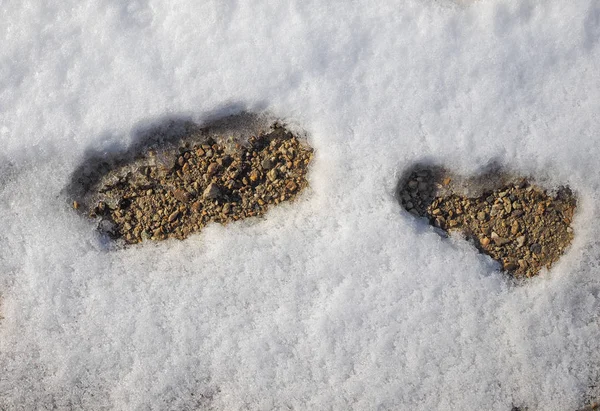 Huellas Impresiones Dejadas Por Una Persona Caminando Nieve —  Fotos de Stock