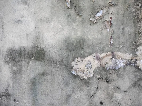 damage caused by dampness and moisture on a wall