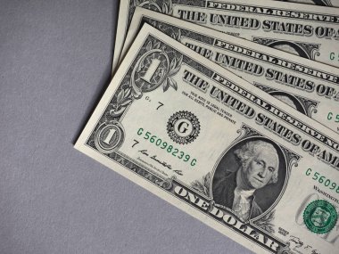 Doları notlar, Amerika Birleşik Devletleri