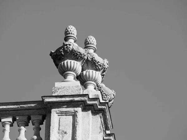 Palazzo Madama en Turín en blanco y negro —  Fotos de Stock