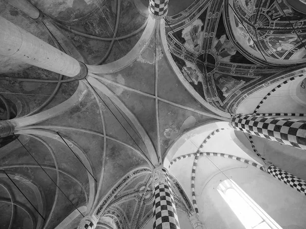 在阿尔巴的圣多梅尼科教堂在黑色和白色 — 图库照片