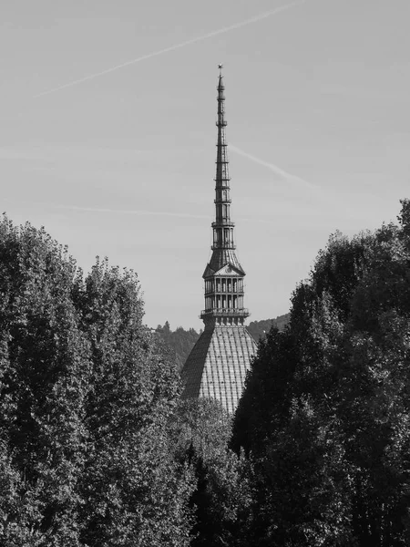 Topo Antonelliana en Turín en blanco y negro —  Fotos de Stock
