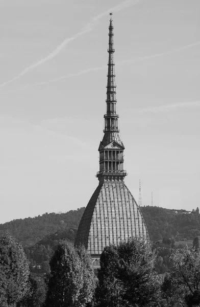 Mole Antonelliana Torino, fekete-fehér — Stock Fotó