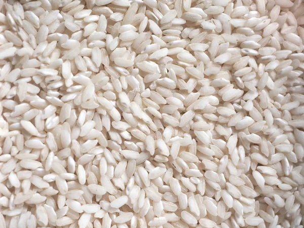 Carnaroli rice food — Stock Photo, Image