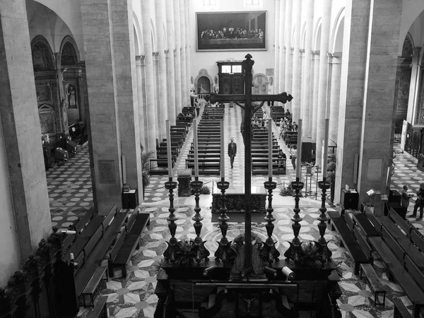 Cathédrale de Turin en noir et blanc — Photo