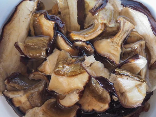 Porcini (boletus edulis) nourriture pour champignons — Photo