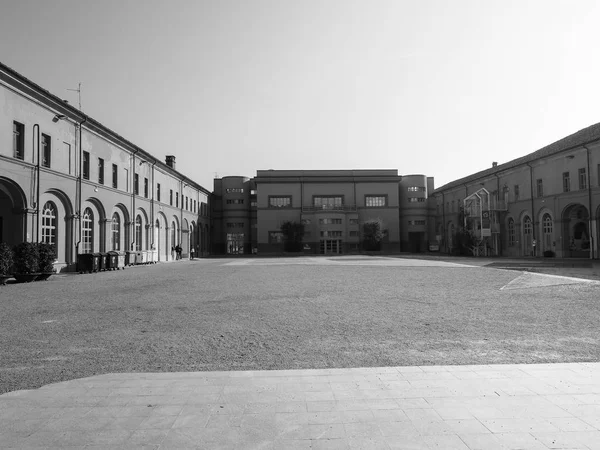Museo Archeologico di Alba in bianco e nero — Foto Stock