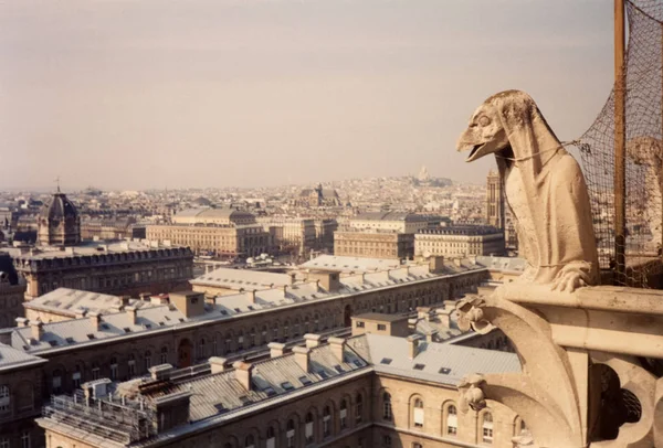 Cattedrale di Notre Dame a Parigi — Foto Stock