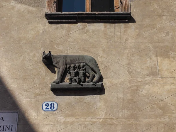 Lobo Capitolino com Rômulo e Remo em Verona — Fotografia de Stock