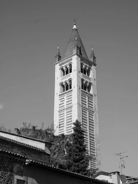 San-Zeno-Basilika in Verona schwarz-weiß — Stockfoto
