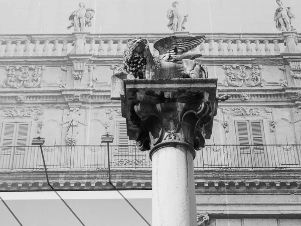 Coluna Leão de São Marcos em Verona preto e branco — Fotografia de Stock