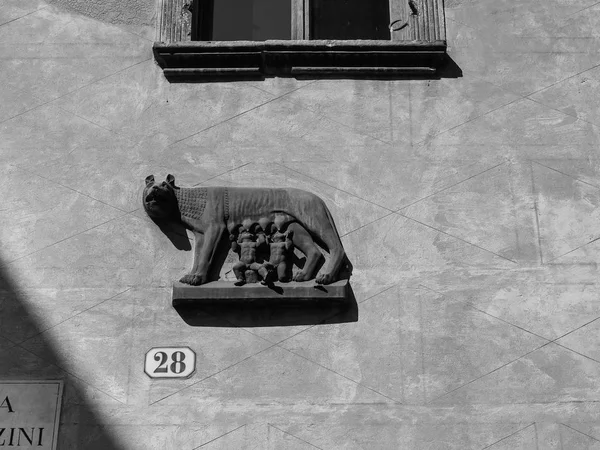 国会大厦狼与罗穆卢斯和雷穆斯在维罗纳黑白 — 图库照片
